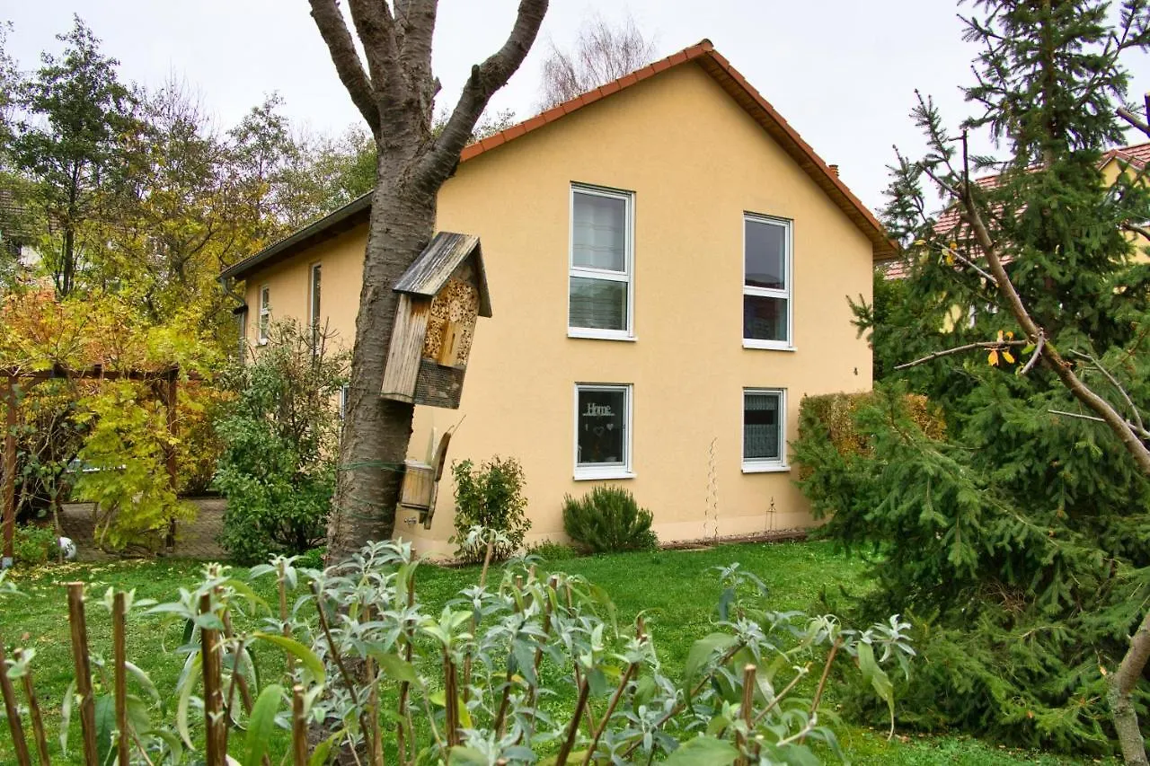 Mycozyplace - Zwei Gemuetliche Zimmer Fuer Vier Dresden Privatunterkunft